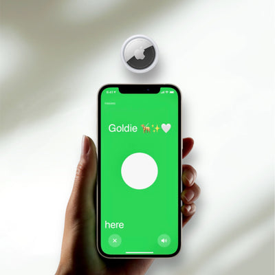 AirTag  (GPS Apple)